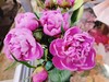 芍药一捆10枝 商品缩略图2