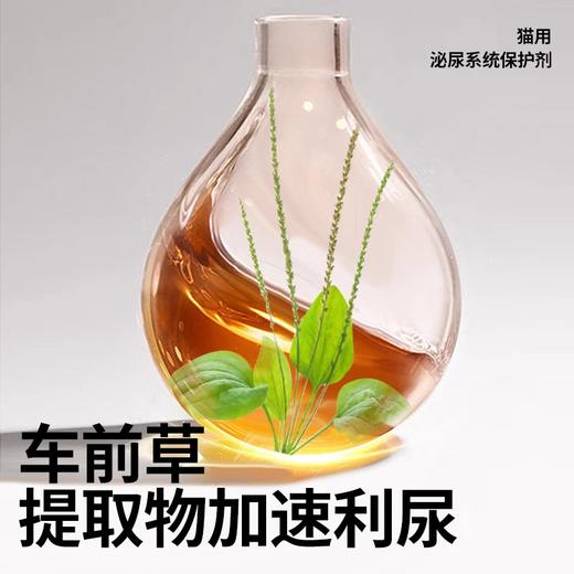 优养猫用利尿通泌尿通保护剂尿道感染利尿排尿猫咪泌尿系统剂 商品图1