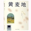 黄麦地     绿光芒精装    蓝鸟    梅子涵作品精选黄绿蓝套装 商品缩略图3