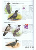 Birds of Europe、North Africa、and the Middle East: A Photographic Guide / 欧洲、北非和中东的鸟类：摄影指南 商品缩略图2