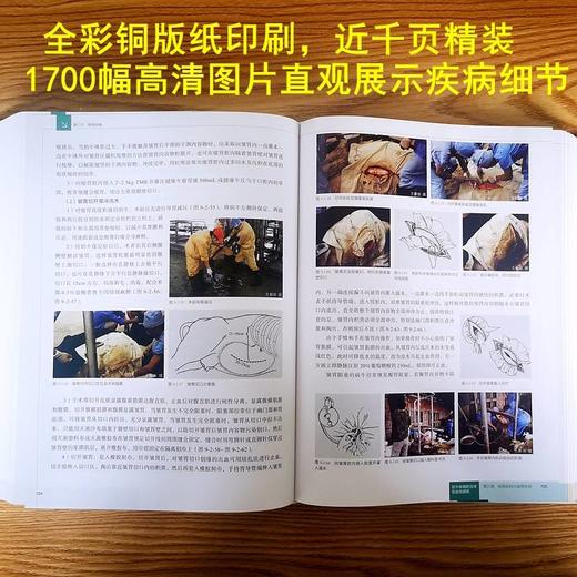 奶牛疾病防治学 铂金视频版 商品图2