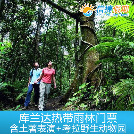 凯恩斯 库兰达热带雨林土著表演+水陆两用车+考拉野生动物园联票 商品图0