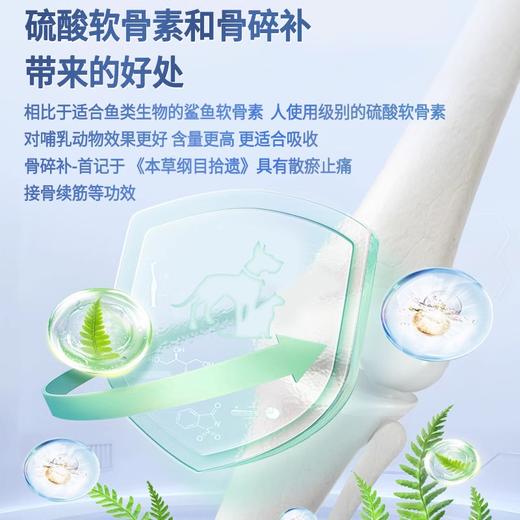 优养软骨素狗狗专用宠物关节保护止疼犬用金毛泰迪折耳猫软骨素猫 商品图3