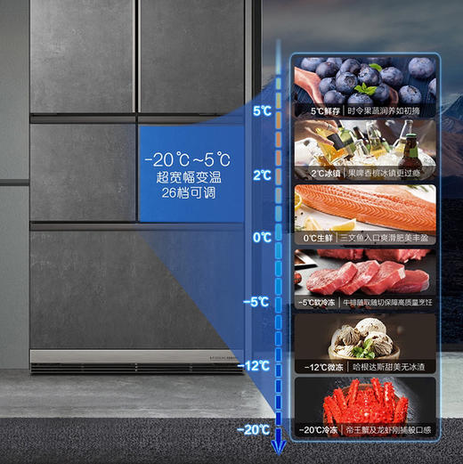 卡萨帝（Casarte）冰箱 BCD-550WLCFPA4YBU1 商品图6