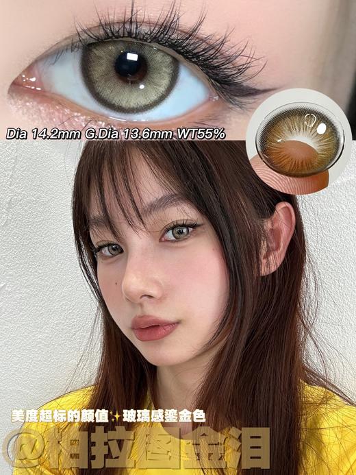 Huohuocon·日抛  柏拉图金泪 14.2  超美的猫女黄金瞳！ 金色偏亚麻色系更显高级气质！！ 国产0-800度<一盒10片> 商品图4