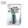 LSA英国进口轻奢花瓶无铅玻璃水培居家装饰摆件 Zinc(H28cm)花瓶彩盒装 商品缩略图3