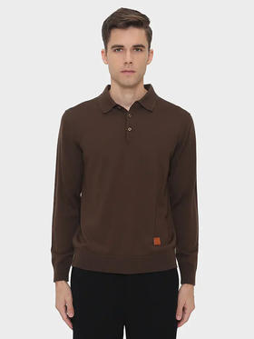 callisto咖色超细羊毛翻领净色毛衣  FRKNW073C