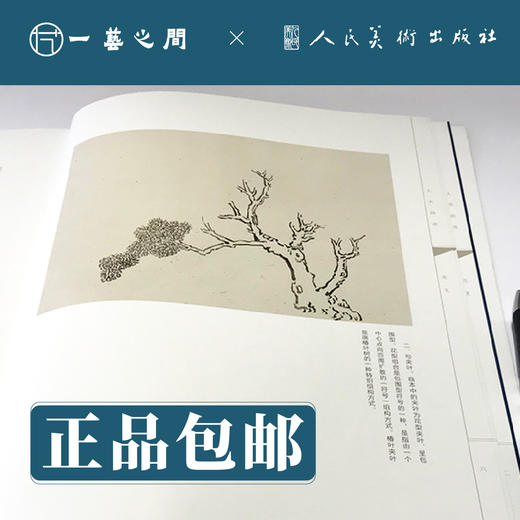 人美画谱 范宽【现货包邮】RM0017 商品图2