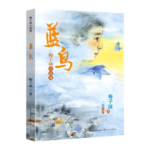 黄麦地     绿光芒精装    蓝鸟    梅子涵作品精选黄绿蓝套装 商品图1