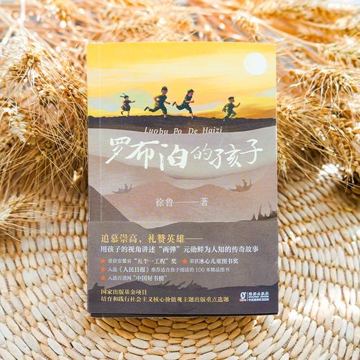罗布泊的孩子 9-14岁 徐鲁 著 儿童文学 商品图3