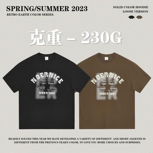 RS男装|2023夏季230克纯棉美式潮牌高街字母网点印花短袖宽松t恤 商品图2
