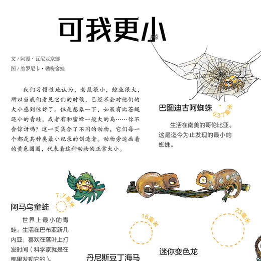 《万物运转的秘密》（全4册） 商品图8