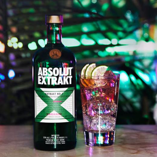 ABSOLUT绝对伏特加 X 风味配制酒 商品图2