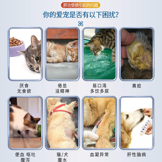 优养补血肝精猫预防肝脏疾病肝损肝炎黄疸水飞蓟宾宠物狗狗护肝剂 商品图2