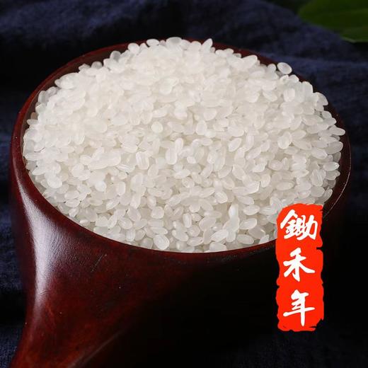 【42.9拍下10斤】2025新大米东北盘锦大米真空包装粳米蟹田米一年一季稻 商品图5