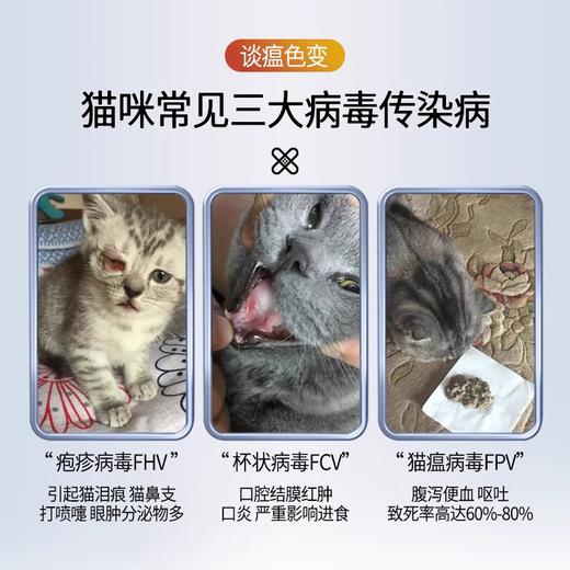 优养宠物猫咪提高幼猫免疫力活性免疫球蛋白IGY卵黄抗体小分子肽 商品图2
