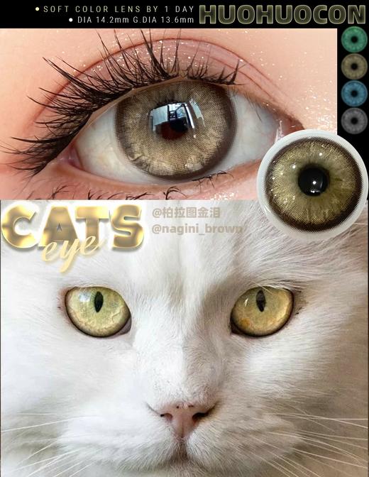 Huohuocon·日抛  柏拉图金泪 14.2  超美的猫女黄金瞳！ 金色偏亚麻色系更显高级气质！！ 国产0-800度<一盒10片> 商品图2