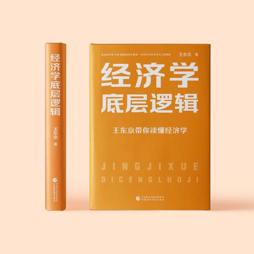 《经济学底层逻辑》 商品图1