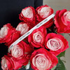 厄瓜多尔进口染色玫瑰花 cherry lips樱桃唇10支 商品缩略图1