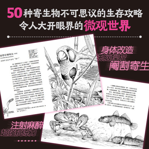 寄生之谜 商品图1