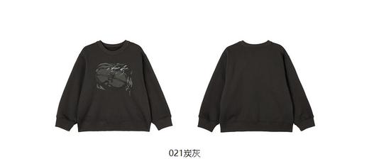 jnby  23年秋款  百搭经典套头卫衣  1N7412370 商品图13