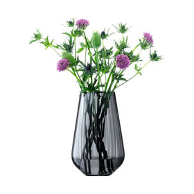 LSA英国进口轻奢花瓶无铅玻璃水培居家装饰摆件 Zinc(H28cm)花瓶彩盒装