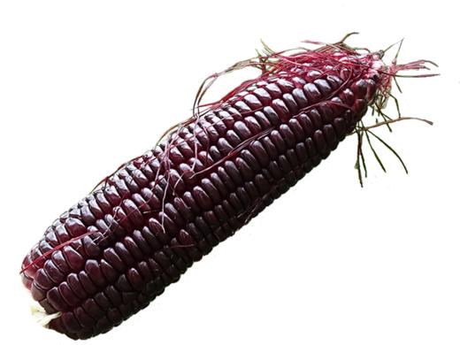 紫甜糯玉米2kg 商品图1