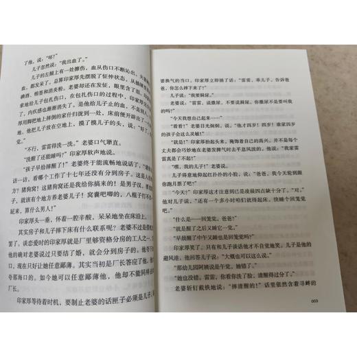烦恼人生.现实一种.褐色鸟群.伏羲伏羲(新版) 商品图1
