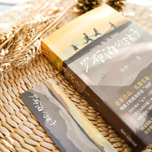 罗布泊的孩子 9-14岁 徐鲁 著 儿童文学 商品图2