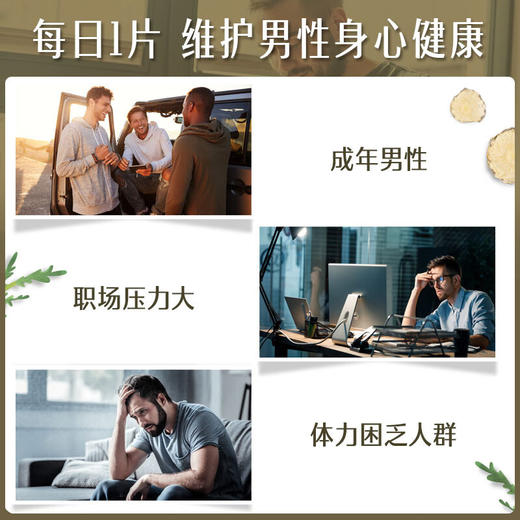 Swisse高浓度玛卡 60片/瓶 商品图2