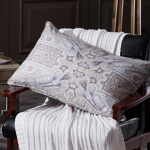 多喜爱 莉莉丝冬奢95白鹅绒分层复合柔弹枕cs 商品图1