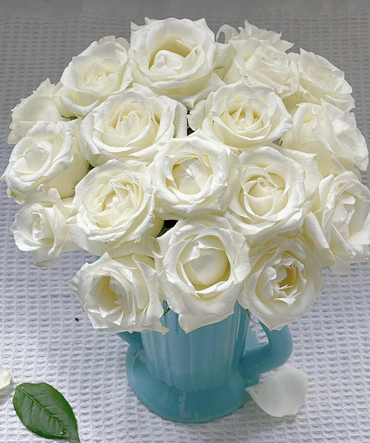 【 拍市玫瑰】骄傲  10枝/扎   约60公分 商品图1