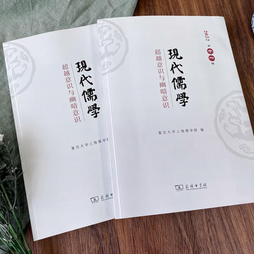 现代儒学(第11辑)：超越意识与幽暗意识 复旦大学上海儒学院 编 商务印书馆 商品图1