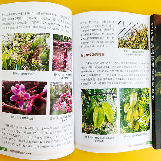 图说南果北移设施栽培技术 商品图4