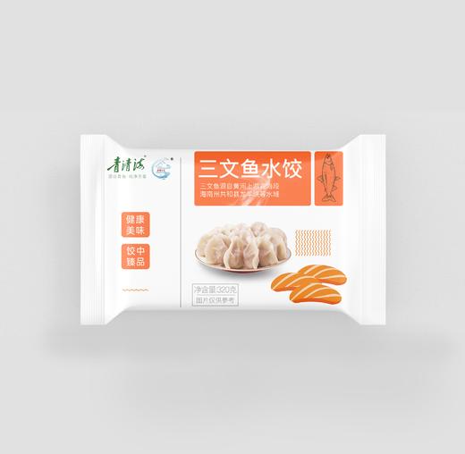 青清海三文鱼水饺320g 商品图0