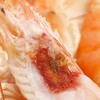 有机盐田虾，无抗生素，虾肉干净鲜甜，顺丰到家(48h发货） 商品缩略图9