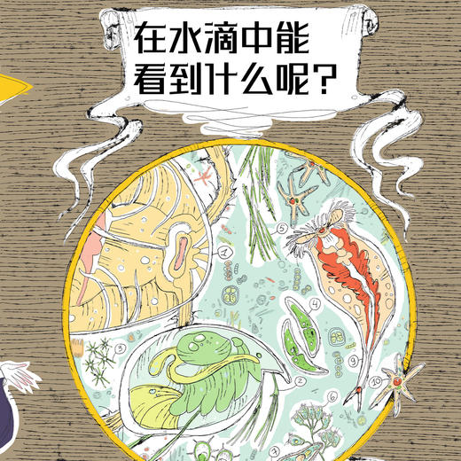 《万物运转的秘密》（全4册） 商品图7