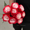 厄瓜多尔进口染色玫瑰花 cherry lips樱桃唇10支 商品缩略图0