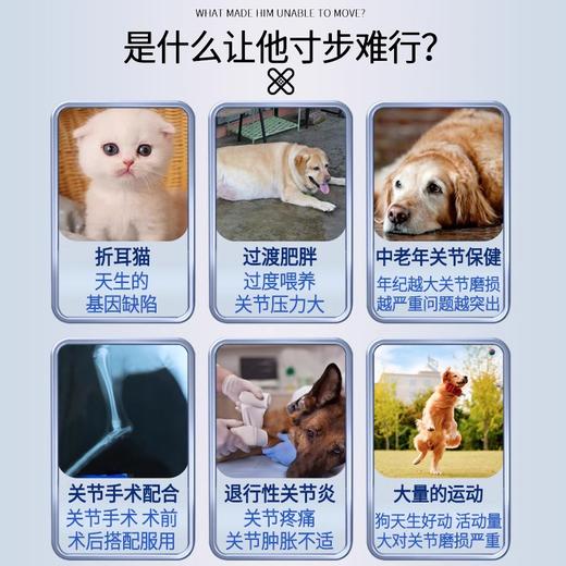 优养软骨素狗狗专用宠物关节保护止疼犬用金毛泰迪折耳猫软骨素猫 商品图1