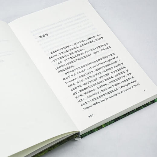 苔藓森林（自然文库） [美]罗宾•沃尔•基默尔 著 孙才真 译 商务印书馆 商品图6