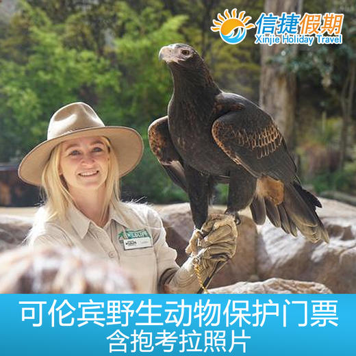 黄金海岸可伦宾野生动物保护门票+考拉照片 商品图2