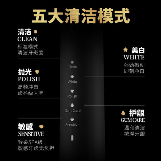 【惊喜礼赠】LION狮王 SMART KEY声波电动牙刷（标准黑） 商品图3