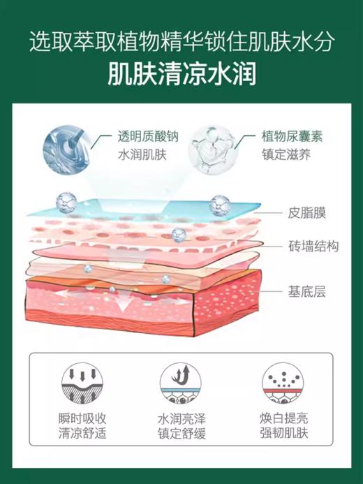 高丽雅娜绿豆塑颜清润保湿面膜（盒） 商品图4