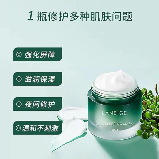 兰芝积雪草睡眠面膜 商品图1