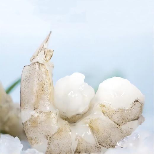 有机盐田虾，无抗生素，虾肉干净鲜甜，顺丰到家(48h发货） 商品图3