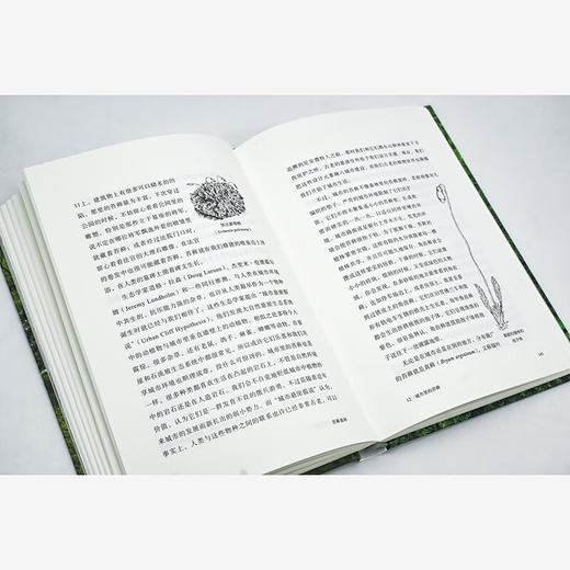 苔藓森林（自然文库） [美]罗宾•沃尔•基默尔 著 孙才真 译 商务印书馆 商品图7