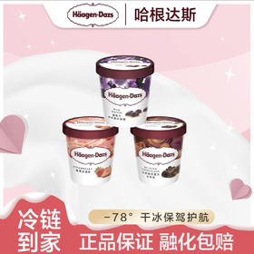 哈根达斯品脱冰淇淋473ml*3 （香草味、葡萄朗姆酒味、夏威夷脆果仁味）