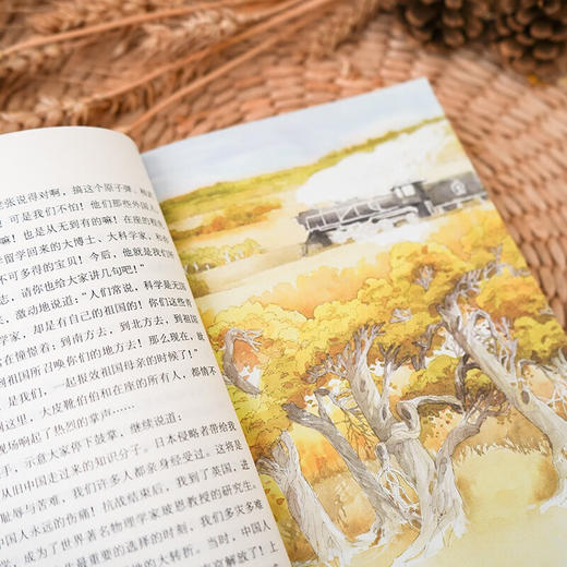 罗布泊的孩子 9-14岁 徐鲁 著 儿童文学 商品图4