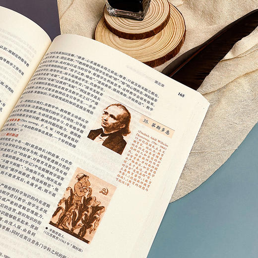 心理学第六版+基于教师资格考试的教育学 2册套装 教师资格证考试参考用书 商品图10