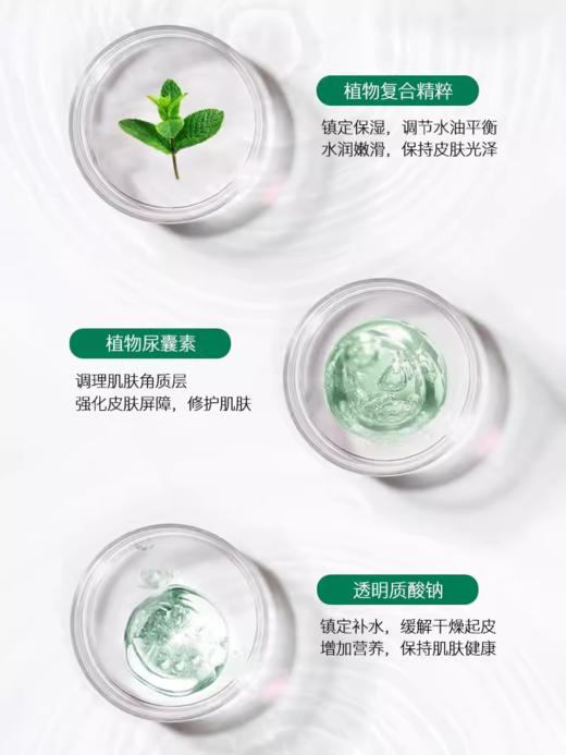 高丽雅娜绿豆塑颜清润保湿面膜（盒） 商品图3
